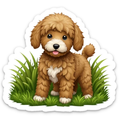Black golden doodle that played in the grass  sticker