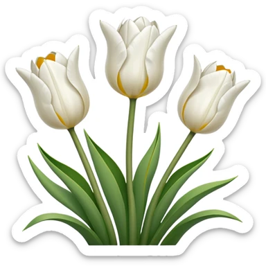 White tulips sticker