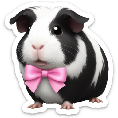 Blak-white Guinea pig with pink bows  sticker