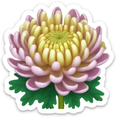 chrysanthemum  sticker