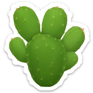 single flat Nopal without pot sticker