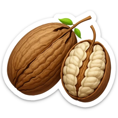 walnut seed of the walnut tree. no face! sticker