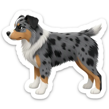 Australian Shepherd/Blue Heeler mix sticker