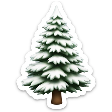 actual white fir christmas tree isolated.  sticker