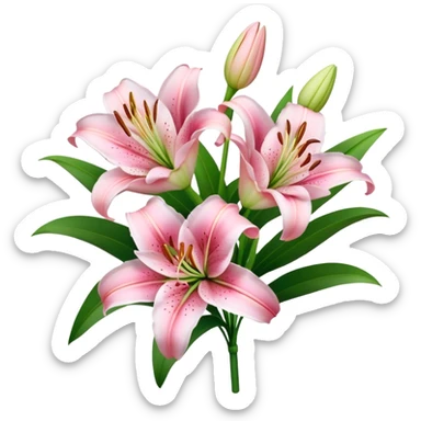 bouquet Soft Pink Lily, luxuriant, stem, leaf, bud sticker