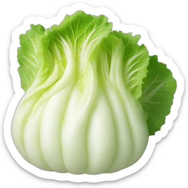 Kimchi napa cabbage sticker
