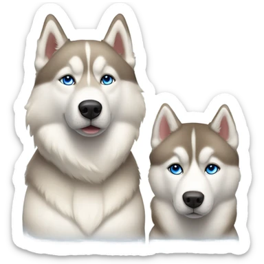 Couple and beige light Husky siberian  sticker