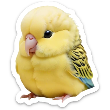 Meme-Worthy Cute Sleeping Yellow Budgie Portrait Emoji, Head resting peacefully with a contented smile, showcasing a petite, delicate build and a luxuriously soft yellow feathered fur, eyes shut in a serene nap, Simplified yet hilariously adorable features, highly detailed, glowing with a soft, drowsy light, high shine, relaxed and utterly lovable, stylized with an air of playful laziness, bright and heartwarming, soft glowing outline, capturing the essence of a comically sleepy budgie, so meme-worthy it feels like it could instantly become the next viral sensation of adorable slumber! sticker