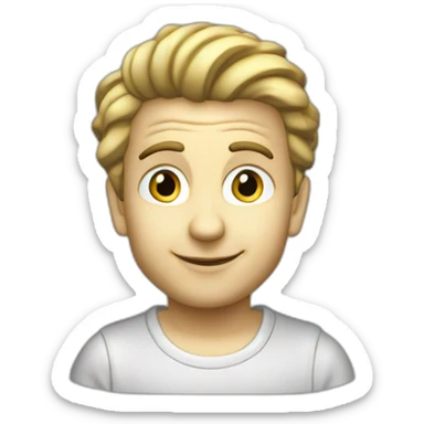 Renault twingo 1993 noir sticker