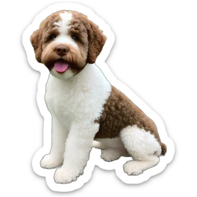 lagotto romagnolo brown and white sticker