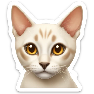 Flamepoint Siamese cat sticker