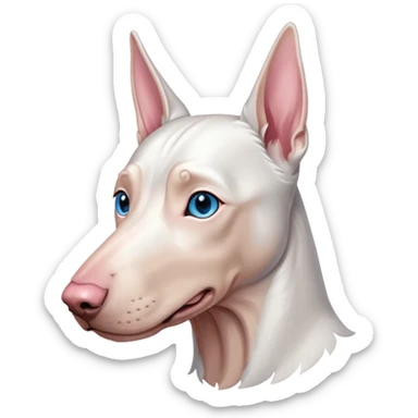 albino doberman with blue eyes sticker