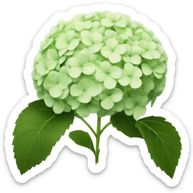 Hydrangea  sticker