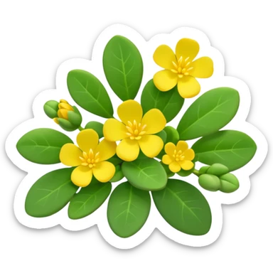 purslane bush plant sticker