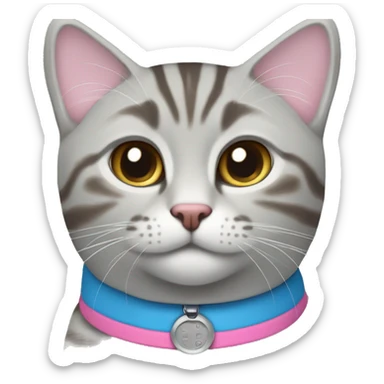 Light grey tabby with blue collar and a dark brown tabby with pink collar sticker