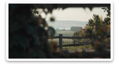 "Two shot" in the foreground, blurred plants in the foreground (frame within a frame), a wooden fence and colorfull flowers in the midground, Poland, rolling hills in the background, cinematic depth of field, layered composition, natural lighting sticker