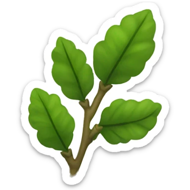Mistletoe sticker