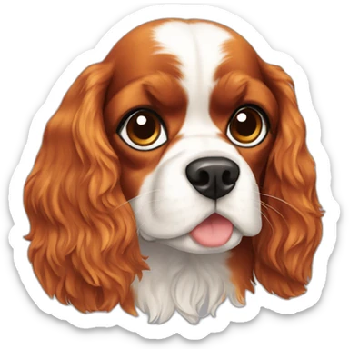 Cavalier King Charles sticker