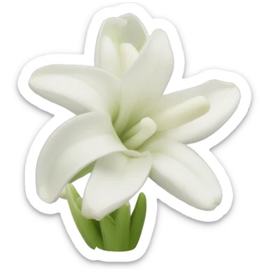 Tuberose sticker