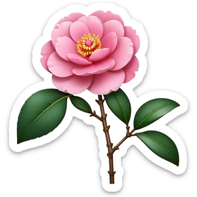 single pink Camellia flower, stem sticker