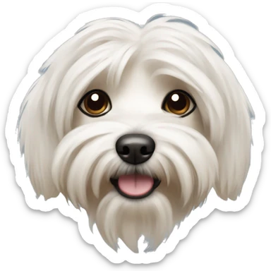 Havanese dog sticker