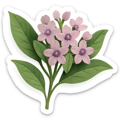 close-up of milkweed flowers, fine paper edges, delicate pink and purple blossoms, green foliage, paper craft style sticker