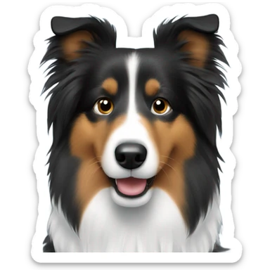 Black Sheltie  sticker