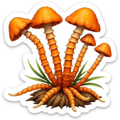 Cordyceps mushrooms sticker