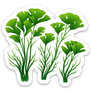 2-3 pair of green seaweed sticker