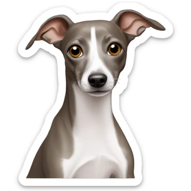 Italian greyhound sticker