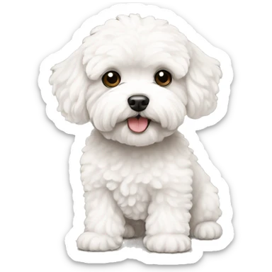 White maltipoo sticker