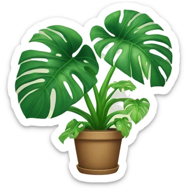 potted monstera plant sticker