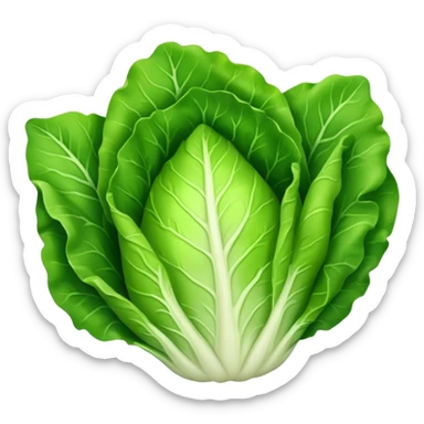 lettuce single  leaf  sticker