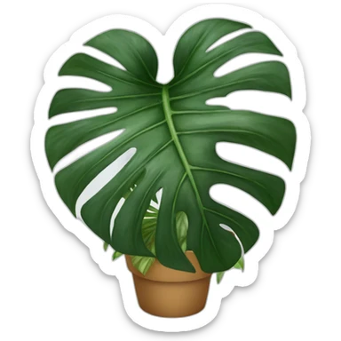 Monstera variegata  sticker