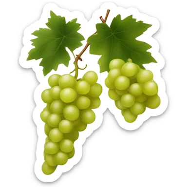 Chardonnay Grape sticker