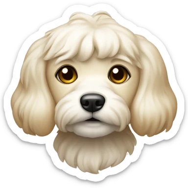 The maltipu dog is cream-colored sticker