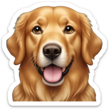 American field bred golden retriever red head sticker