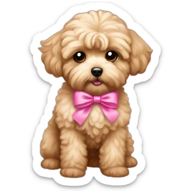 Maltipoo, with pink bow sticker
