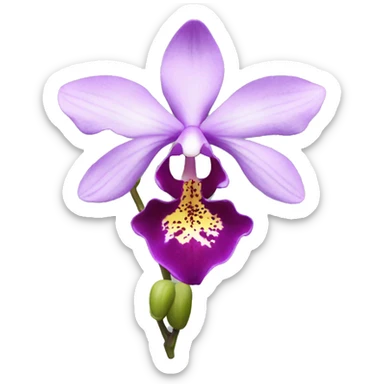 Orchid  sticker