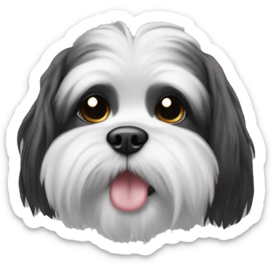 Black white Shitzu with a ice cube sticker