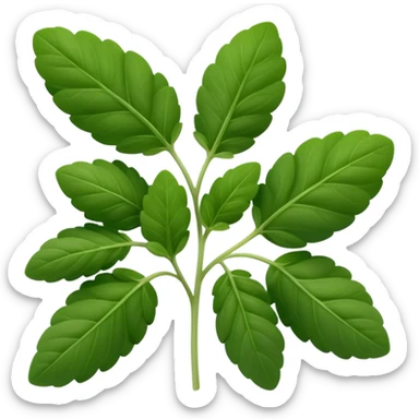 small sprig of fresh oregano with oval slightly fuzzy green leaves on thin tender stems, leaves clustered and layered with subtle natural curves and soft midrib veins, color ranges from vibrant to muted green, no pot scissors or extras, apple emoji style, soft lighting, subtle shadows, emoji scale sticker