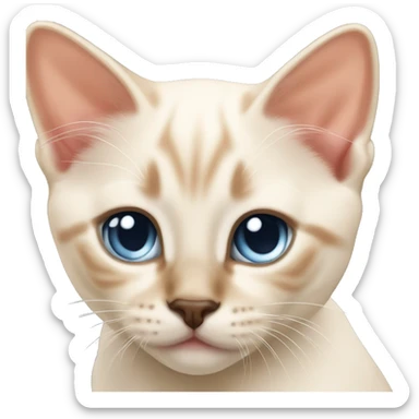 Flame point Siamese kitten  sticker