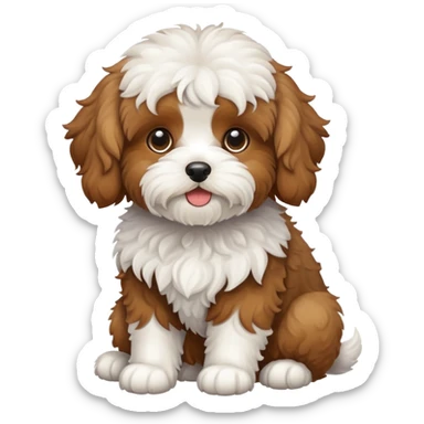 Cavapoo sticker