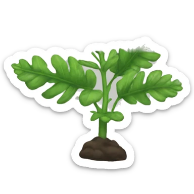 Rue plant sticker