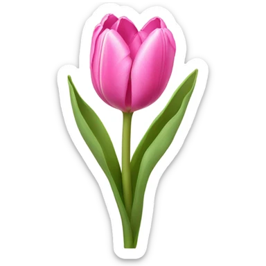 Pink tulips  sticker