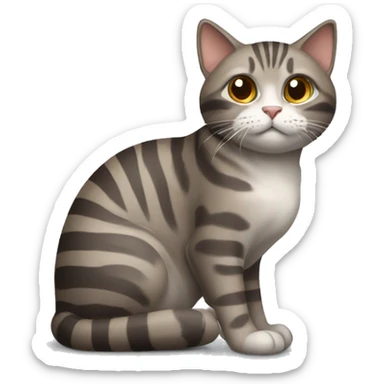 Brown and gray cat stripes sitting down  sticker