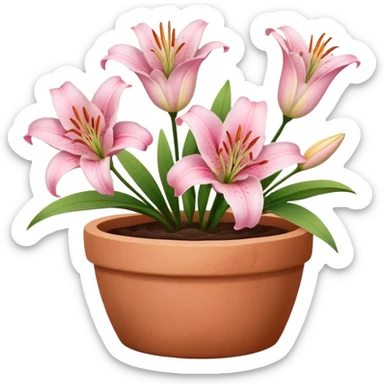 light pink lily flowers in a clay pot sticker