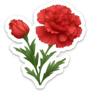 red Carnation flower sticker
