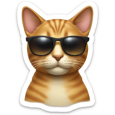 Cat with sunglasses sticker