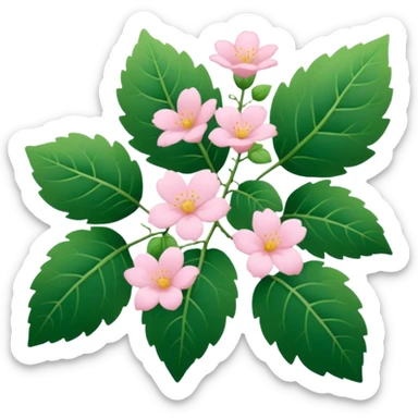 Aesthetic flowers and plants growing from the ground in colours of soft pink matching the deep green leaves (to describe/match with the word flourish) more of a wild bush or vine  sticker